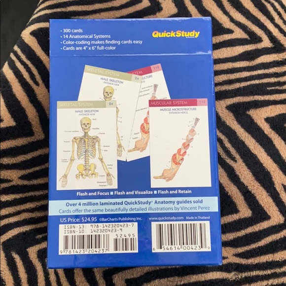 Anatomy flash cards - Picture 3 of 5